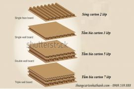 Cấu tạo bìa carton